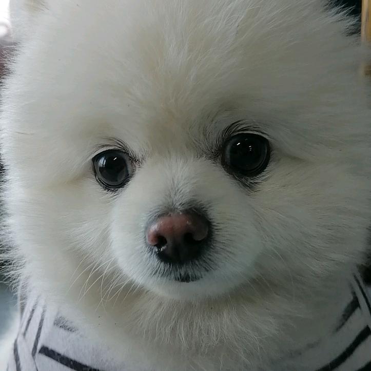 壹各劉不哒