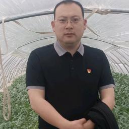 80后村支书食天下东台西瓜