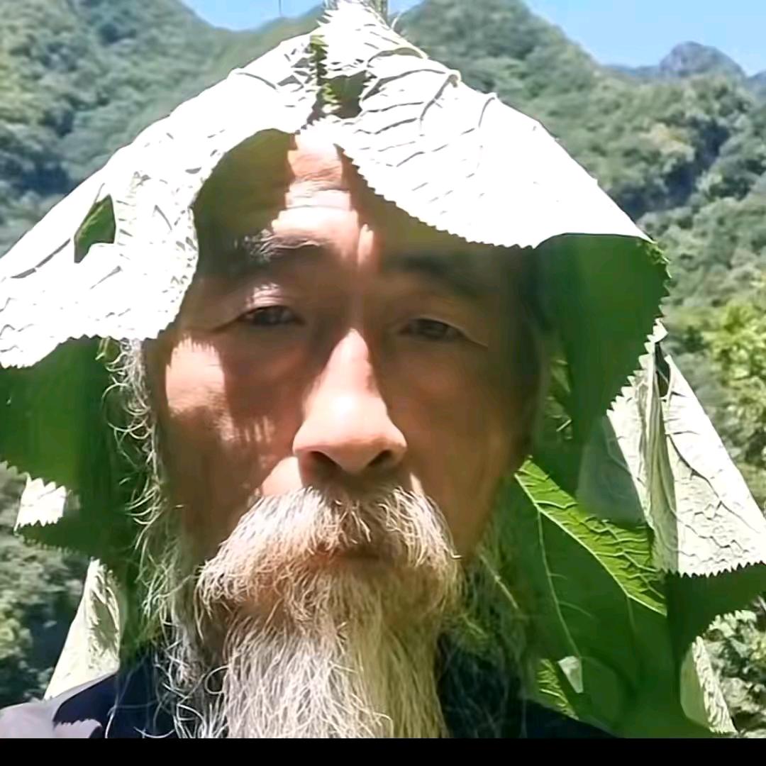 嘎嘎嘎嘎嘎嘎（快乐撸喵～版）