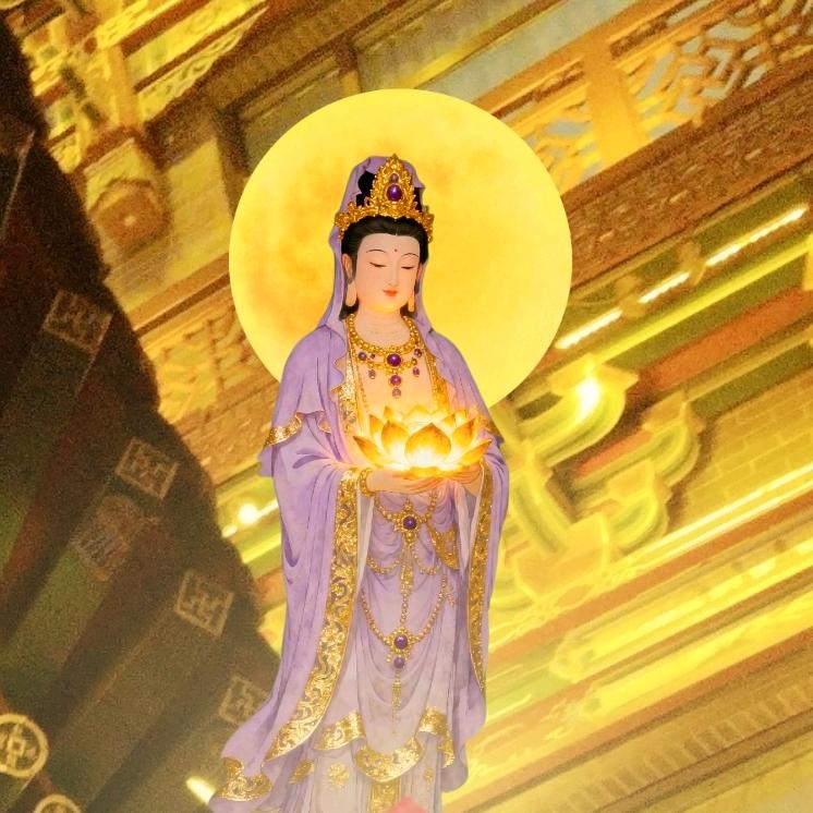 🐥莲莲好运🐥