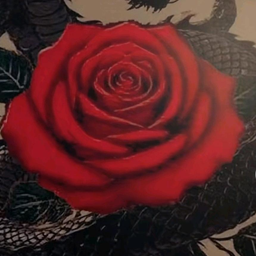 ༄༊࿆断۞念ོྂཾ࿆࿐