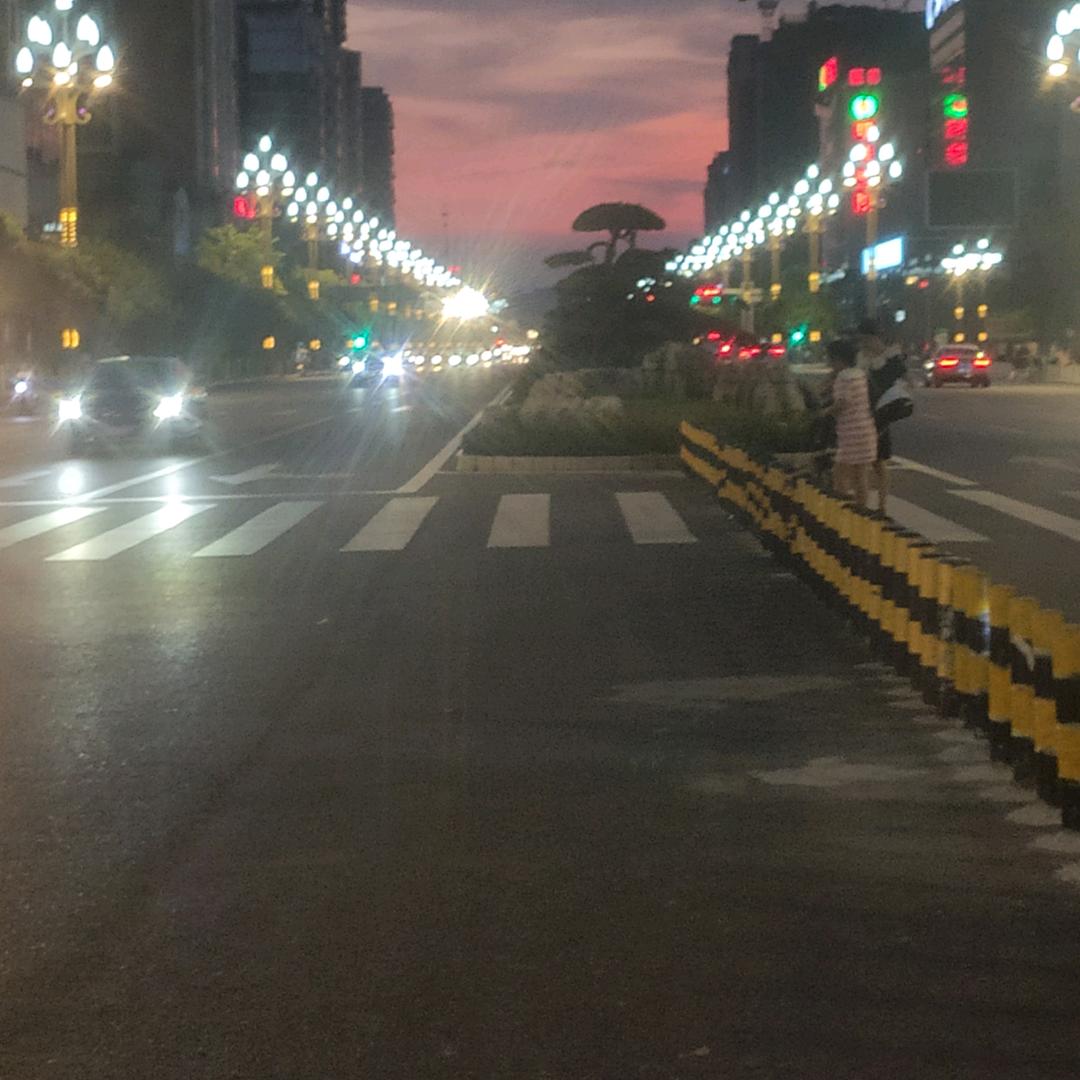 小菊花