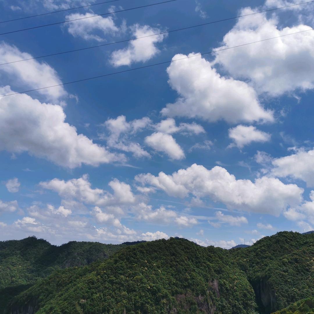 聚善聚美