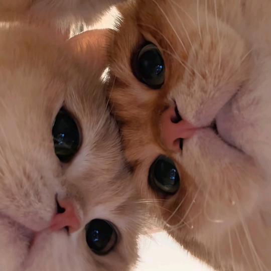 雾里拾荒（工厂拾荒者）