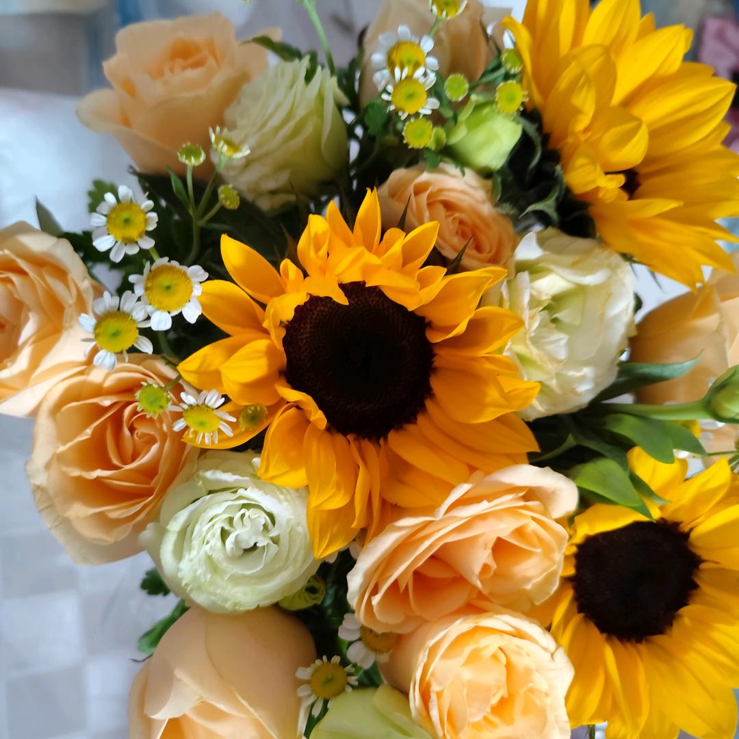 ❀꒰*影子*꒱❀