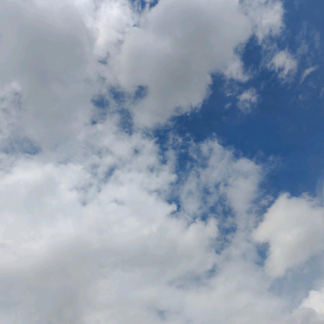 涛涛