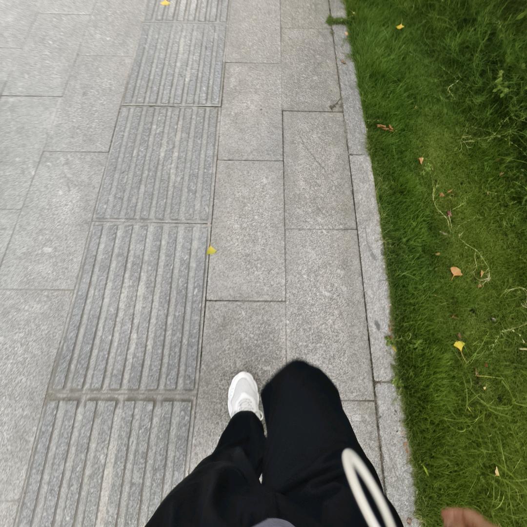 秋、白