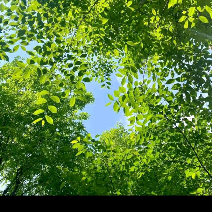 篮色天空