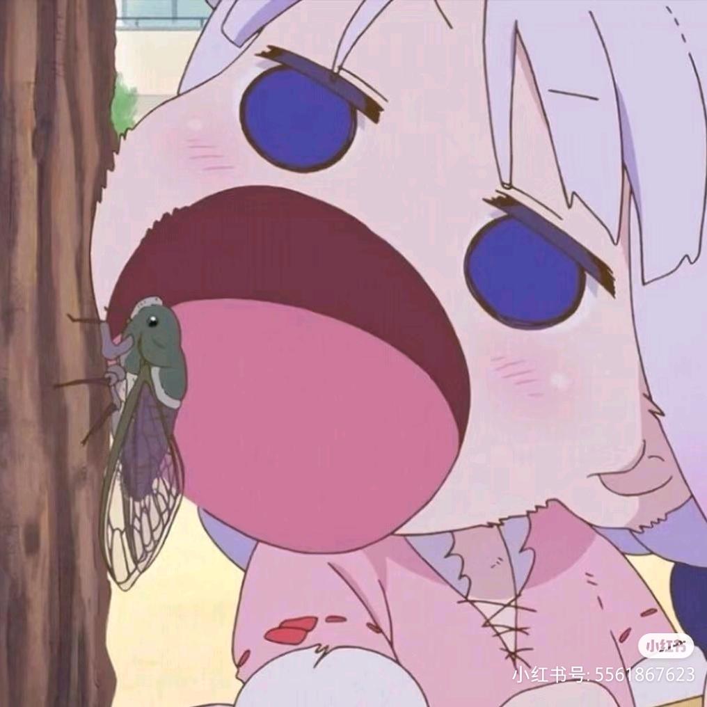 ･᷄ ･᷅