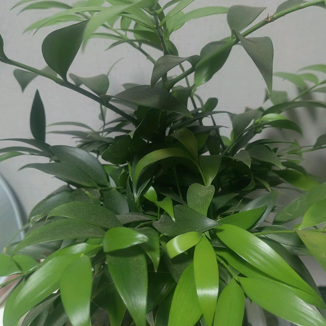 晴天雨水