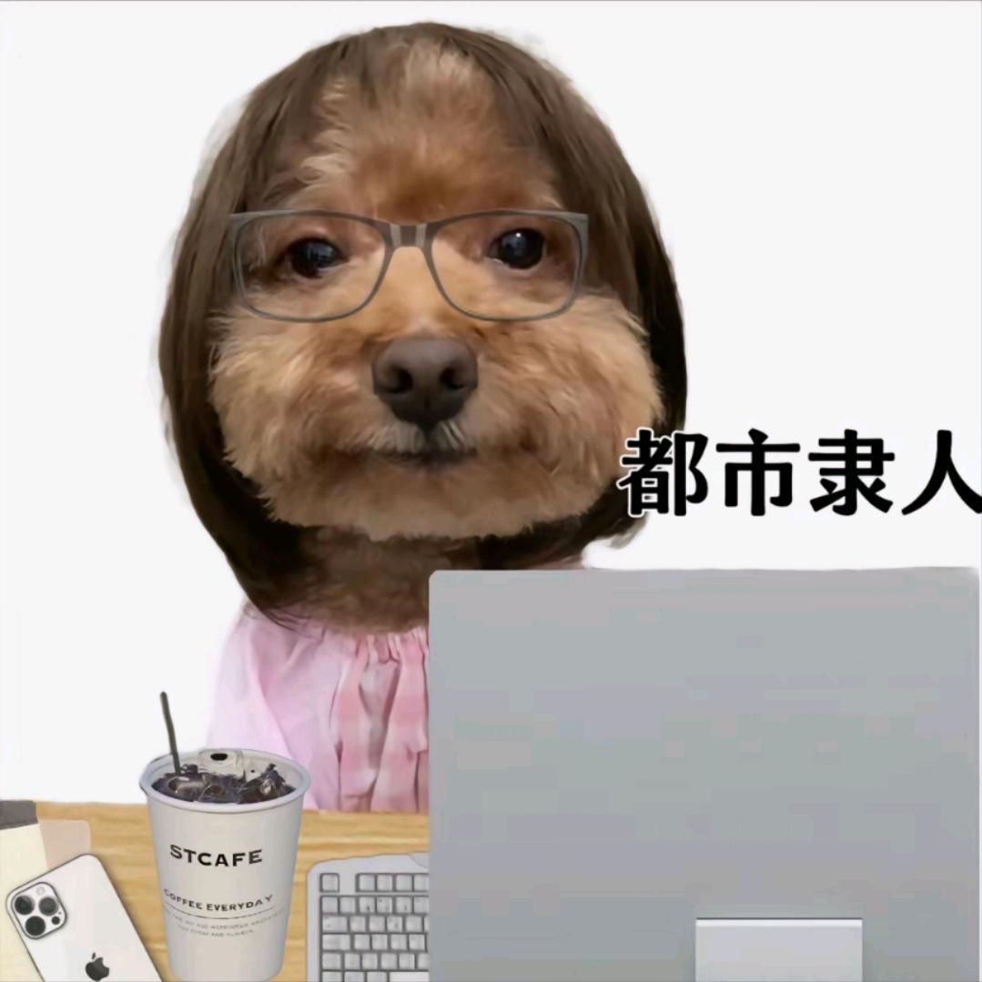 王二豆一定会发财头像