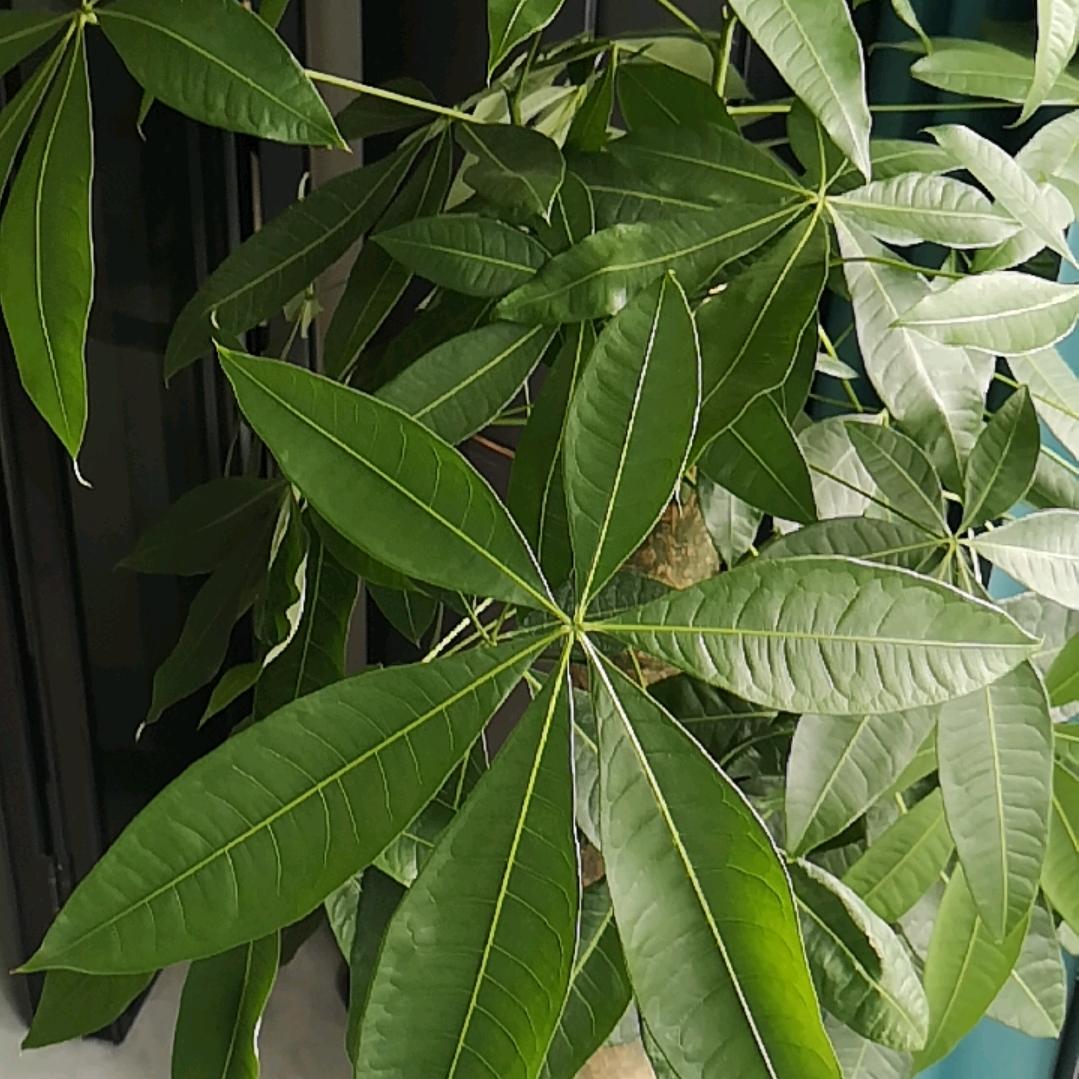 用户