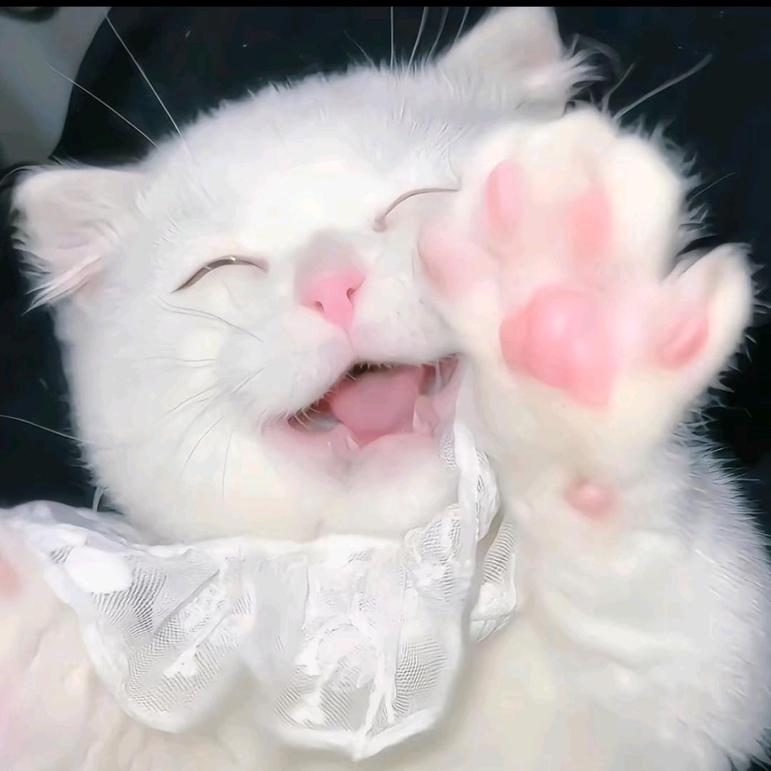 zeroᗢᘏᓗ‧˚₊