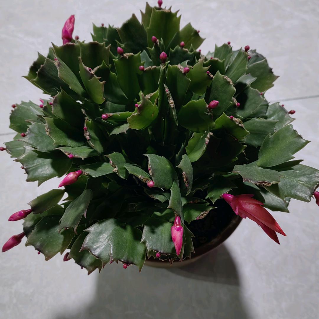 开心快乐每一天