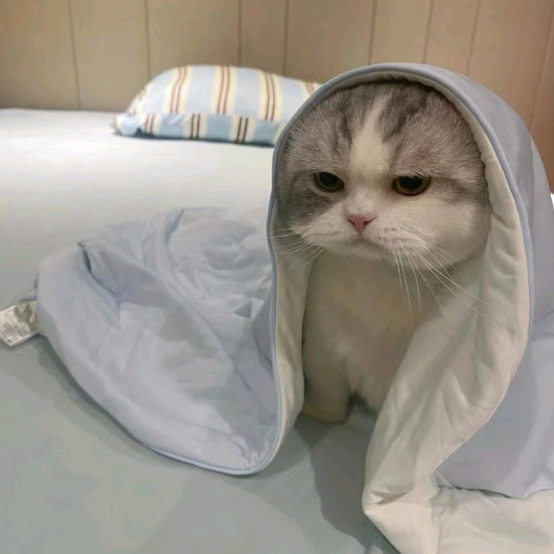 袅袅