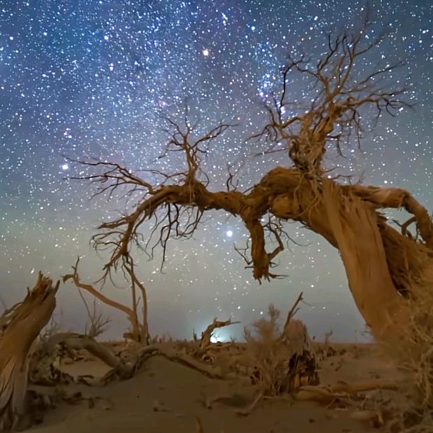 🌙此生此夜永长安✨