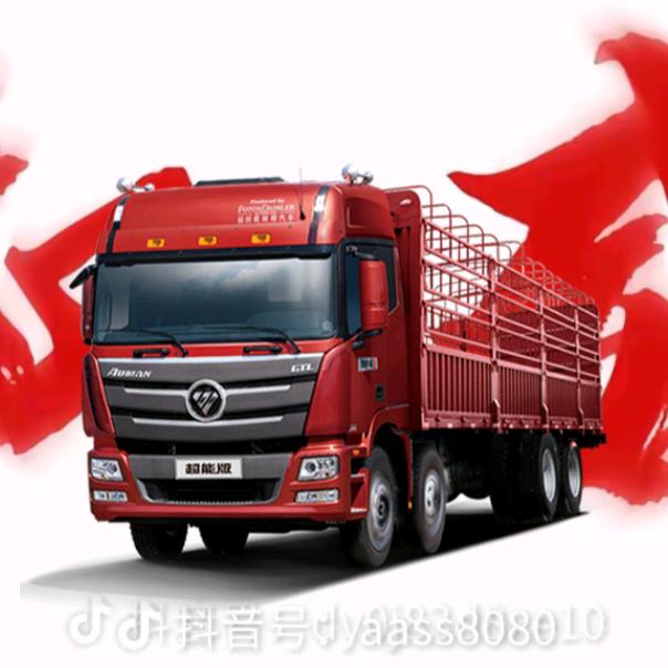 8岁老爷爷在路边疾跑(建造男女平等小队)