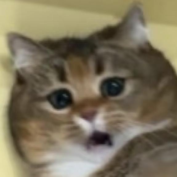 2/3