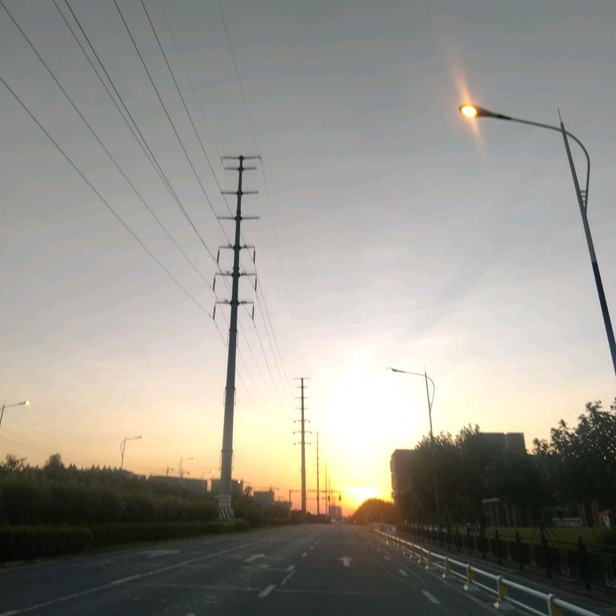 小鱼l