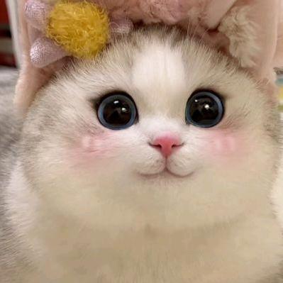 柠檬水