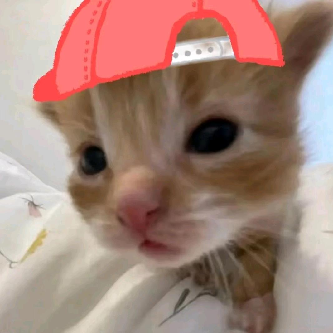 除了上学都没空！