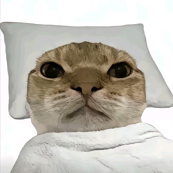 跑刀的鼠子（世一跑）