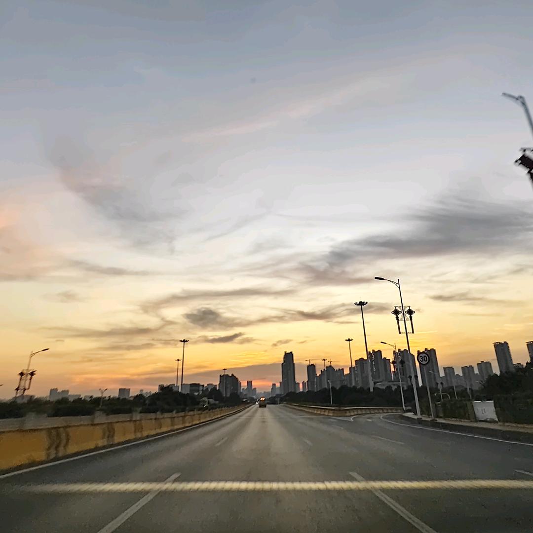 往西虎』