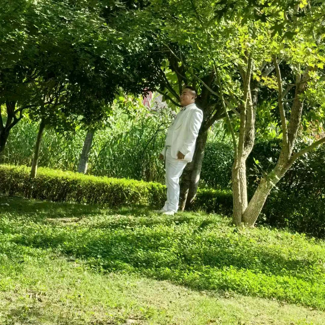 越过星河只唯你
