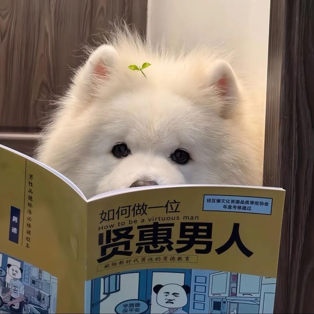 想张的约定