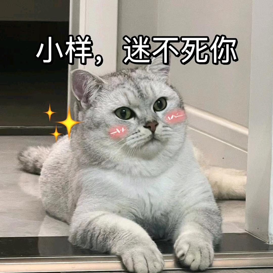 🐯、大脑虎