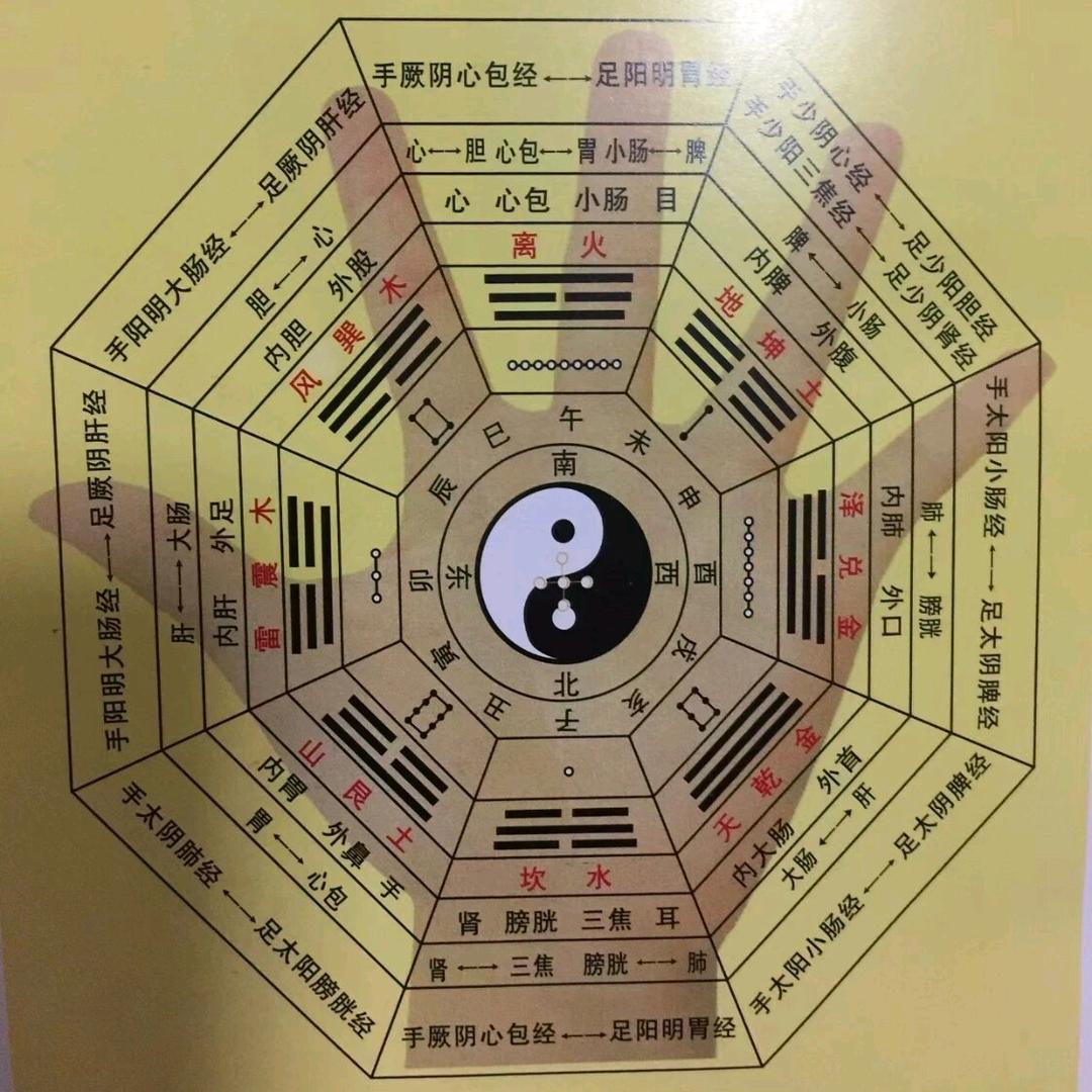 师兄来了
