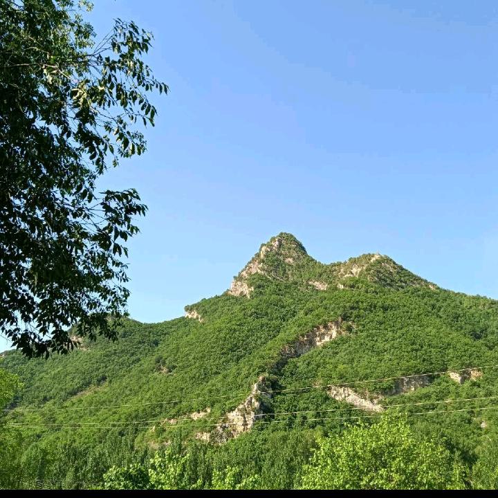 坐看起风云