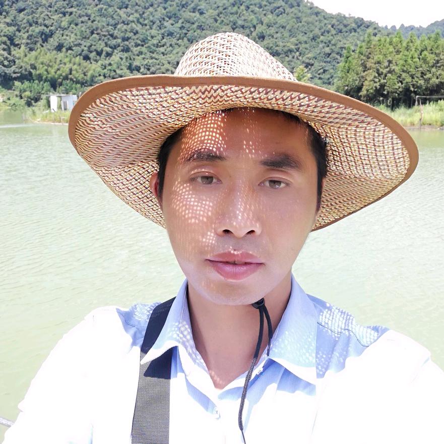 湘西中蜂