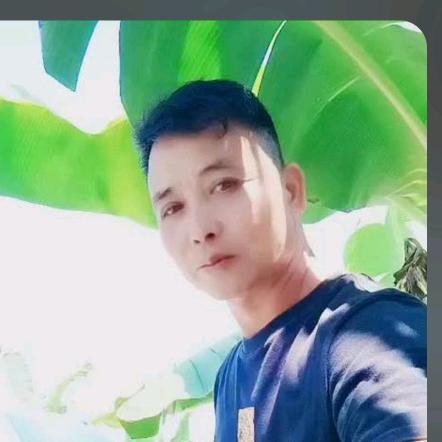香蕉王国