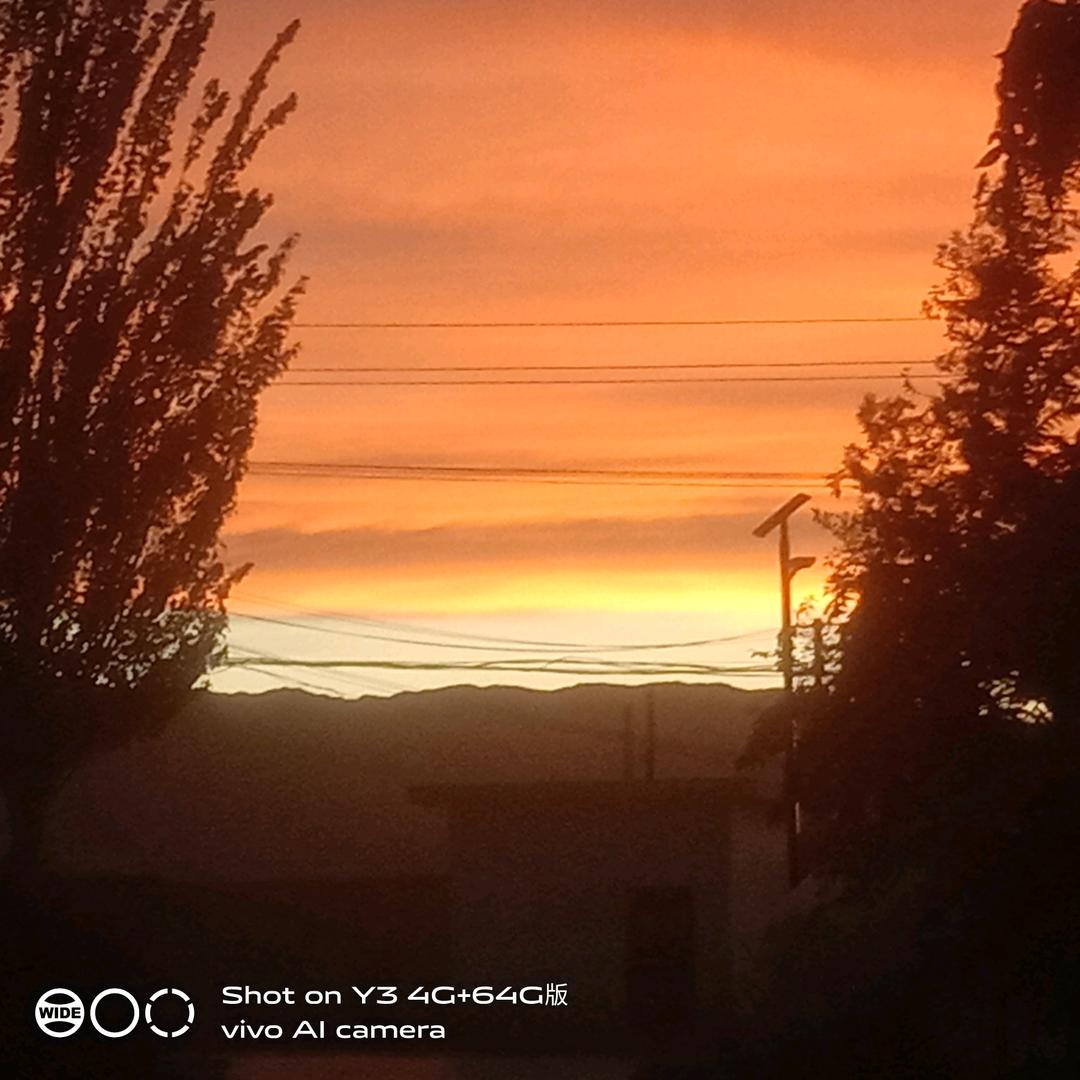 可爱的小猫咪酱