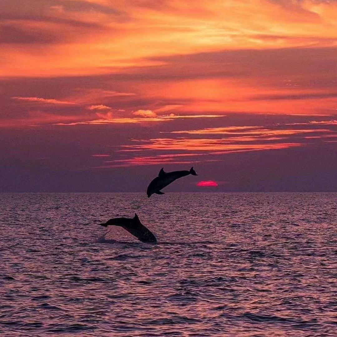 笑看浮华苍生：