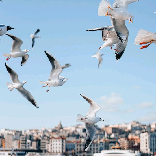 白酒合作共赢。