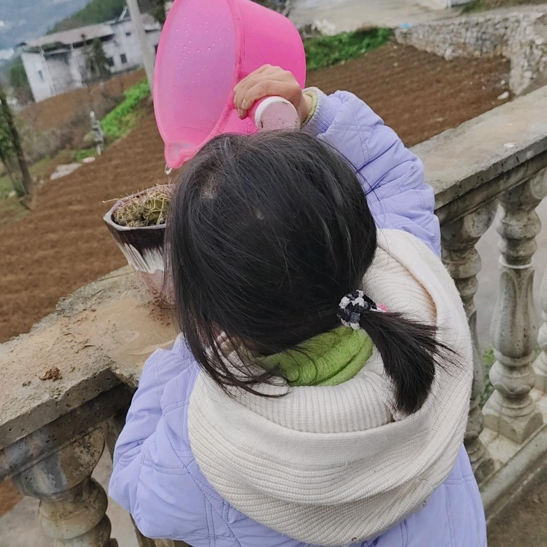 四个孙女的奶奶首播