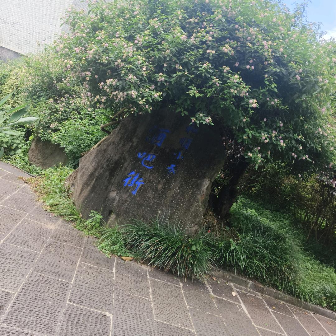 梁家二小姐