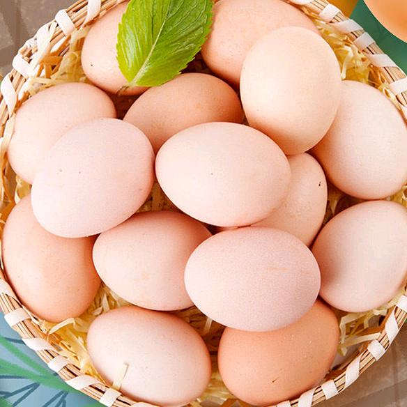正宗山里散养土鸡蛋