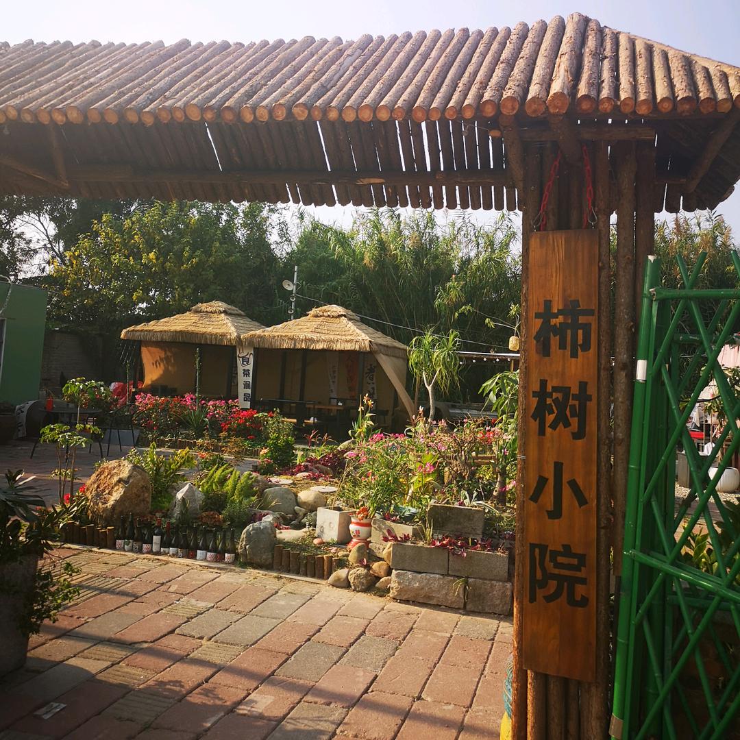 柿树小院官方号