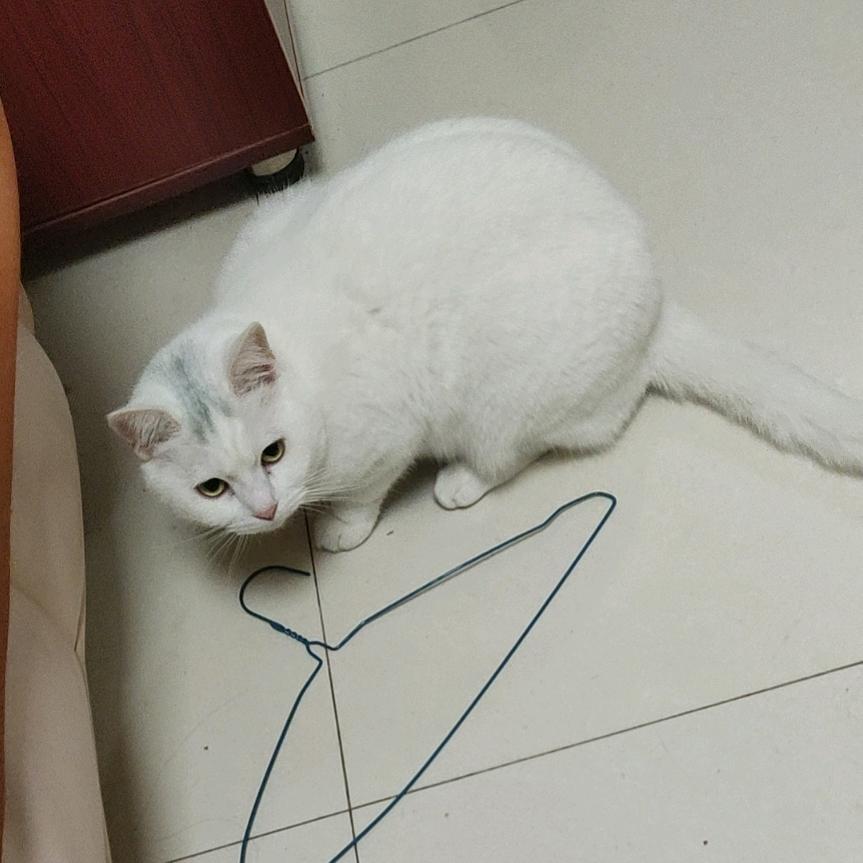 小时候可帅了。