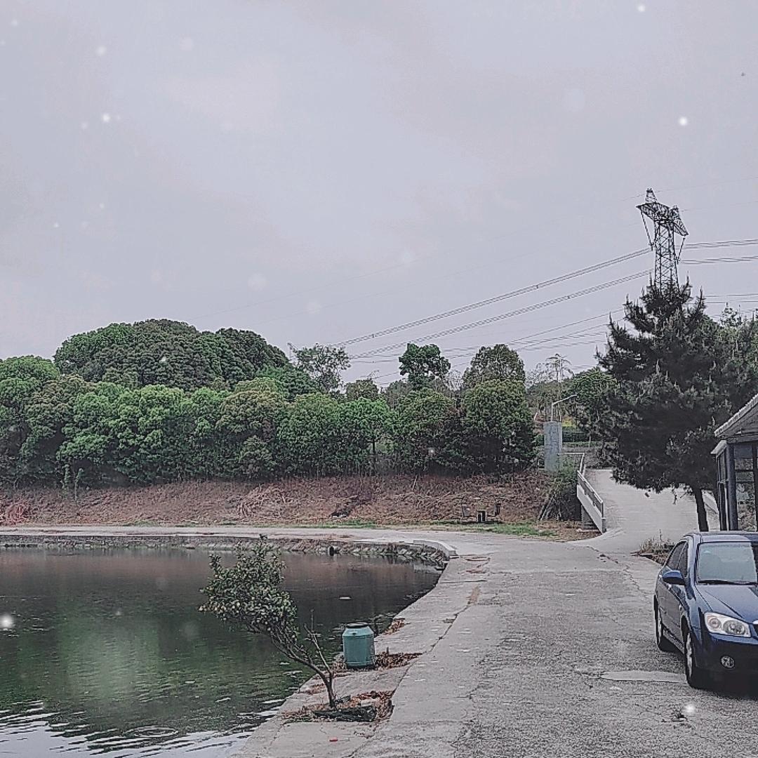 三羊开泰