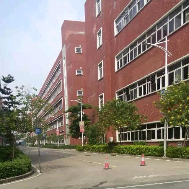 👍正能量👍