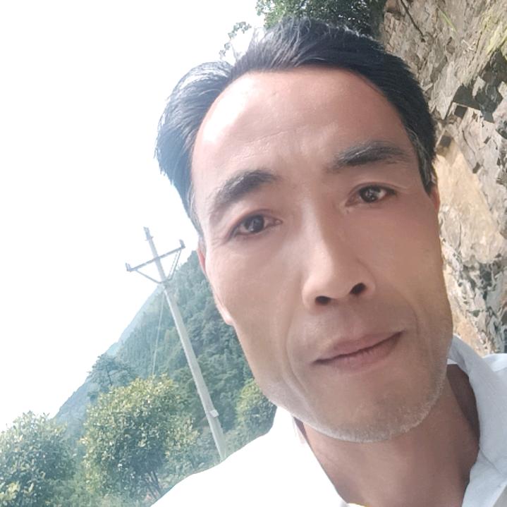 高山肥羊75572695635