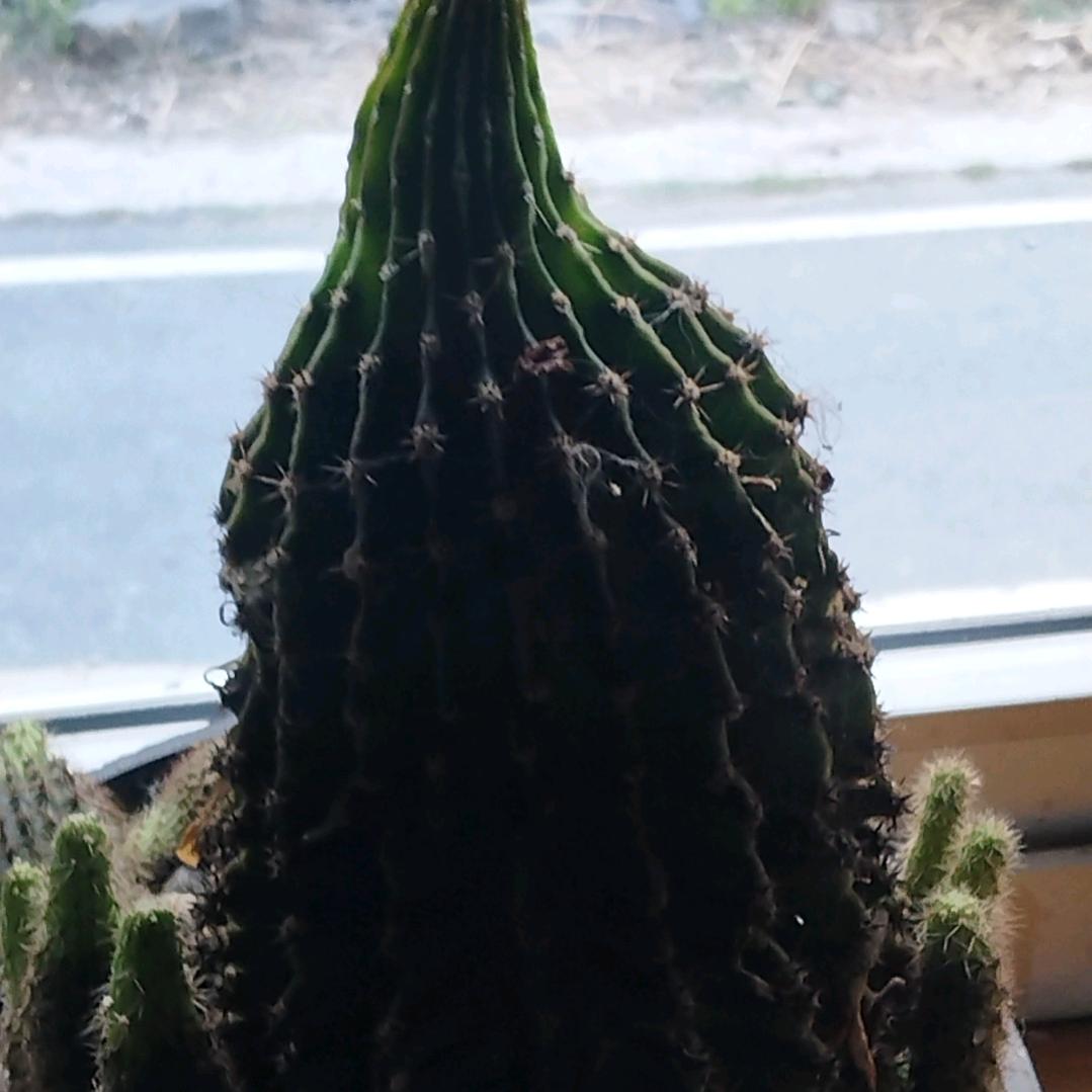 美好回忆