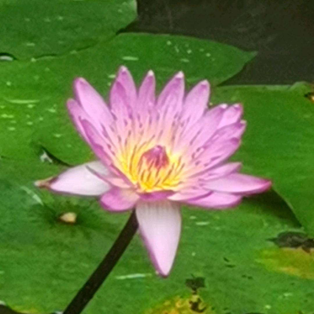 梦游不是梦