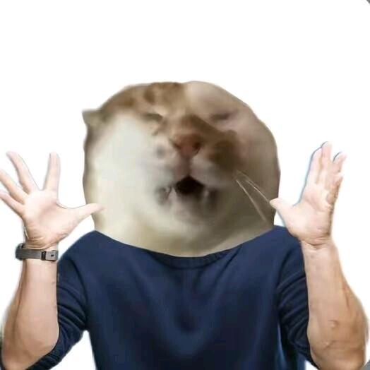 vibe最严厉的父亲