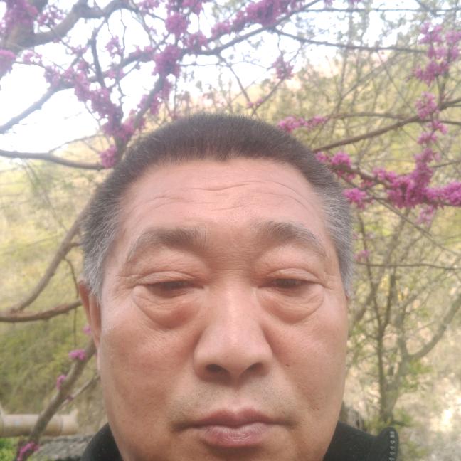 杜显成