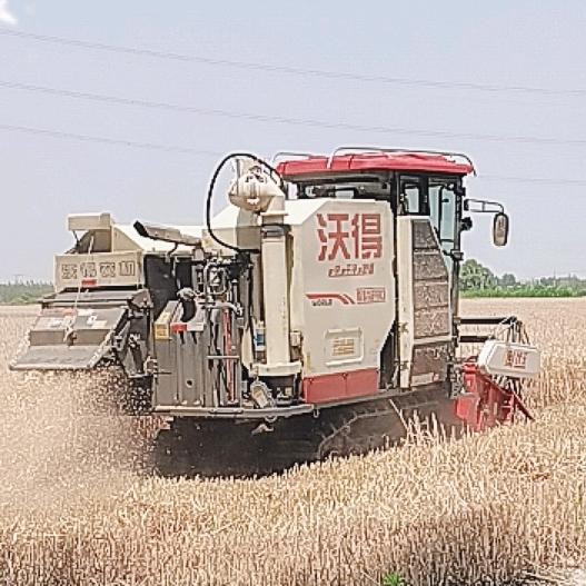 跨区收割机🌸玲玲姐